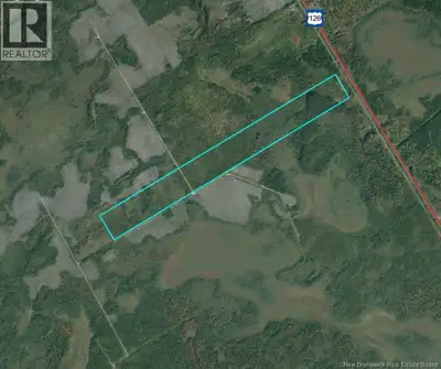 Looking for a larger piece of land? This approximately 100-acre timberland parcel along Route 126 in...