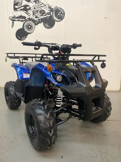 Limited Time Offer! was $1,596 plus GST tax NOW $1465 plus GST tax Ready to go GIO Blazer 125D Speci...