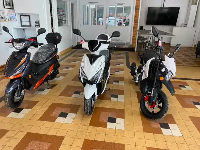 LIQUIDATION DES MODEL 2024 scooters Scorpion 49cc garantie 12 mois PRIX VARIE SELON MODEL A PARTIR D...