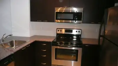Amazing 1 bed + den Condo near Square One