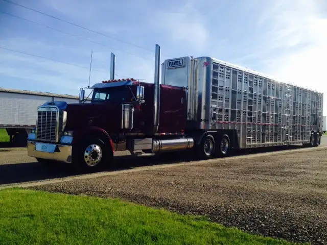 Owner Operator - Livestock Division in Drivers & Security in Moose Jaw - Image 9