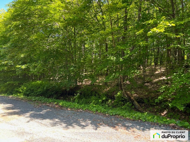 $150,000 - Residential Lot for sale in Lac-Superieur — photo 3