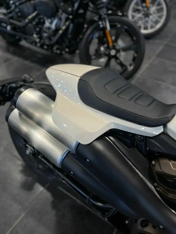 2023 Harley-Davidson Sportster S in Sport Bikes in Sudbury - Image 12