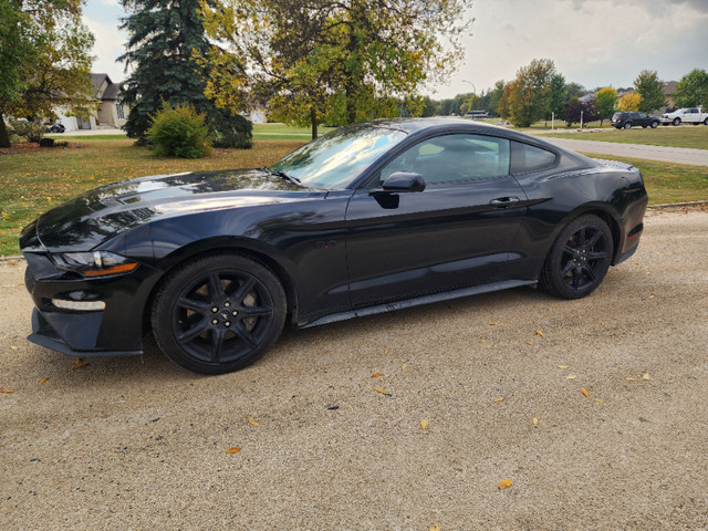2019 Ford Mustang GT 5.0L V8 6 SPD Manual, Black Rims in Cars & Trucks in Winnipeg