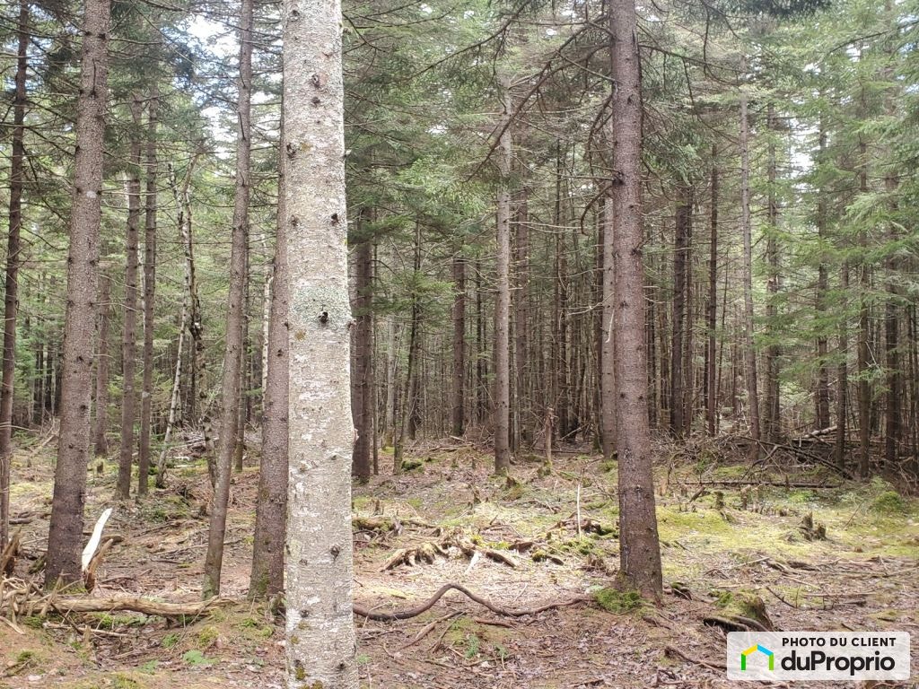 $72,990 - Residential Lot for sale in St-Adolphe-D'Howard — photo 1