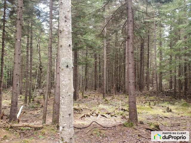 $72,990 - Residential Lot for sale in St-Adolphe-D'Howard — photo 1