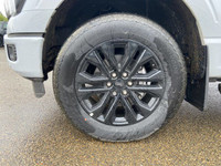 The 2025 Ford F-150 Lariat | 502A | SuperCrew 145, available at Freedom Ford Sales, is a powerhouse... (image 4)