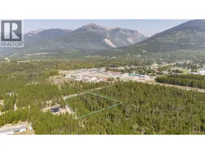 This 2.8-acre property sits on the western edge of town, is within town limits, and presents good bu...