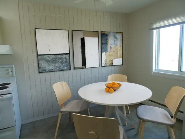 Chelsea Place  - 1 bedroom for May in Long Term Rentals in Winnipeg - Image 5