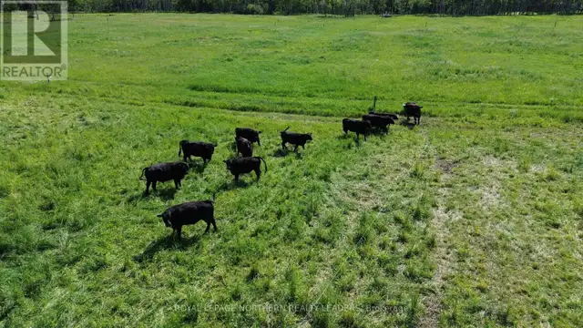 270 CARON ROAD Timmins (MTJ - Mountjoy Rural), Ontario in Land for Sale in Timmins - Image 19