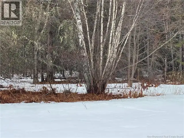 0 Route 127 Bayside, New Brunswick in Land for Sale in Saint John - Image 26