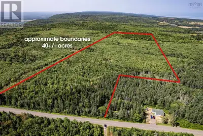 40 acres of mixed woodland on a paved road with power, high-speed internet, and nearby services. Apr...