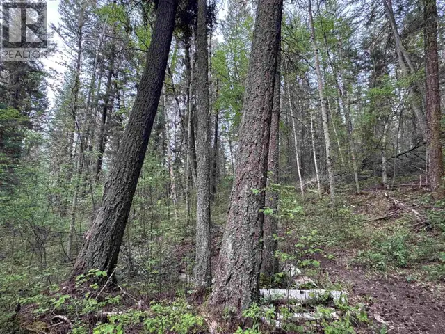 550 DOG CREEK ROAD Williams Lake, British Columbia in Land for Sale in Williams Lake - Image 15