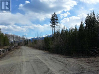 LOT 2 SMALL RIVER FSR ROAD Valemount, British Columbia Quesnel Cariboo Area Preview