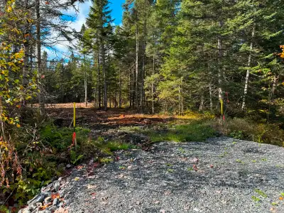 Grand Lac St-François, Lambton en Estrie. Wow! Rareté, superbe terrain vacant bâtissable (tout proje...