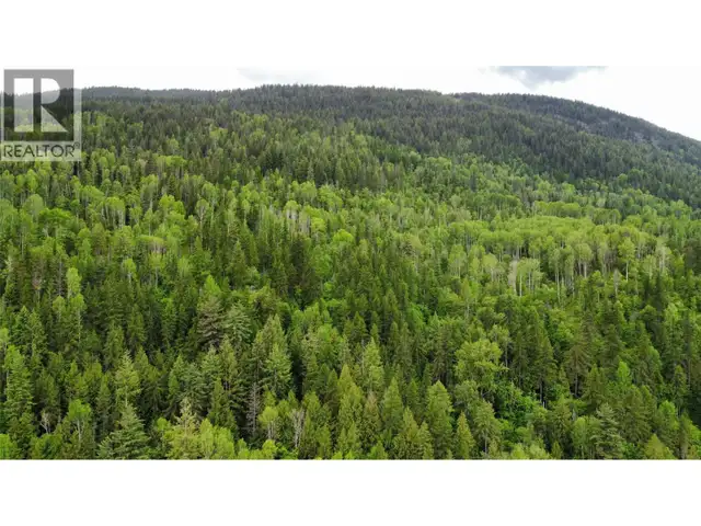 Arrow Lake 10 Lot Package Arrow Lakes Drive Castlegar, British C in Land for Sale in Nelson - Image 7