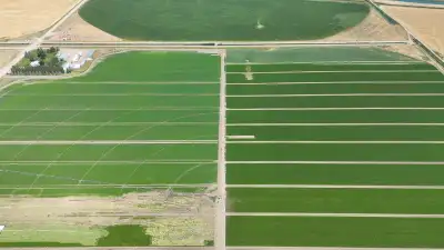 Professional Agricultural Farm Worker, View more