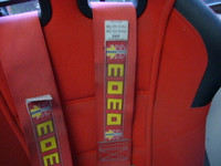 MOMO 3" 4  point safety belt racing use, brand new, special $199