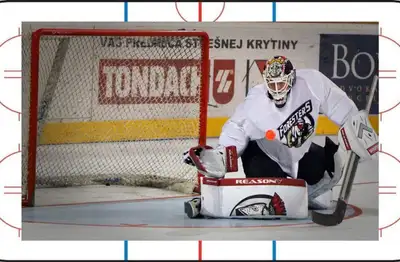 Winnipeg GOALIES Wanted - Ball Hockey, Sponge Hockey, Ice Hockey, View more