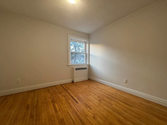 1 Bedroom Apartments Minutes From Downtown Kitchener!! in Long Term Rentals in Kitchener / Waterloo - Image 2