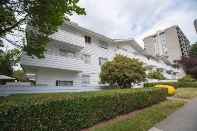 Studio Suite for Rent Across from Moody Park
