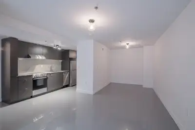 fully renovated one-bedroom apartment in Plateau - ID 1660