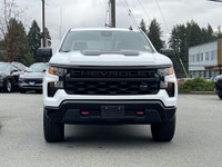 2023 Chevrolet Silverado 1500 LT Trail Boss with a 5.3L EcoTec3 V8, 4X4, locking rear differential,... (image 9)