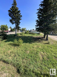 Treed Residential Lot in Evansburg
