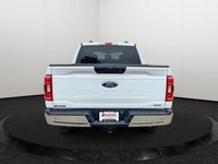 This Ford F-150 has a strong Regular Unleaded V6 3.5 L EcoBoost engine powering this Automatic trans... (image 3)