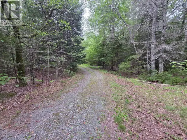 Lot 1 Old North Range Road Ashmore, Nova Scotia in Land for Sale in Yarmouth - Image 14