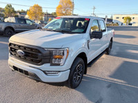 Recent Arrival! 2023 Ford F-150 10-Speed Automatic 3.5L V6 EcoBoost At our Ford dealership, we take... (image 2)