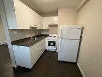 Renovated 1 Bedroom Apartment for Rent Near Sask PolyTech