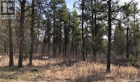 Rec lot 12/2 Hudson Bay Rm No. 394, Saskatchewan Nipawin Saskatchewan Preview