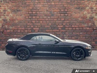 Come see this 2022 Ford Mustang GT Premium before it's too late! *Get Your Money's Worth for this Fo... (image 5)