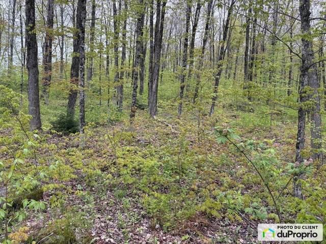 $79,000 - Residential Lot for sale in St-Alfred — photo 3