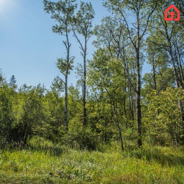 Gordon Lake Road at Carter Side Road, Johnson Township in Land for Sale in Sault Ste. Marie - Image 4