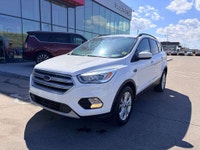 2019 FORD ESCAPE SEL 4WD * HEATED SEATS * BACKUP CAMERA * REMOTE START * POWER LIFT GATE * FEATURES... (image 1)