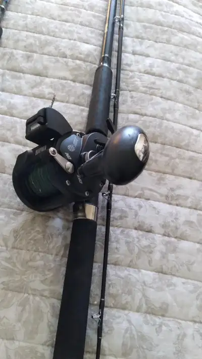 Rapala Defiant Line Counter Trolling Reel & 9.6 Ft. Downrigger, View more