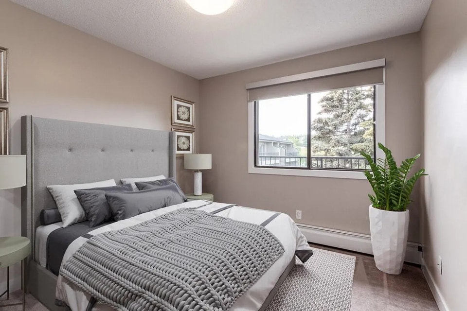 Spacious, pet-friendly apartments for rent 4