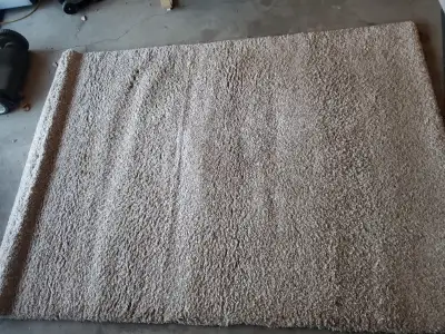 Area Rug for Sale $70 Good Cond, Avail imed Pickup Central Area
