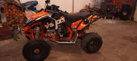 2021 Mad Max 250 ATV