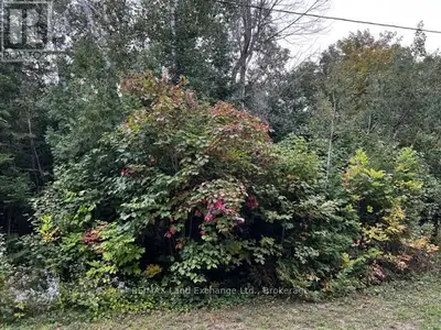 Seller will consider holding mortgage with 10% down payment. If you love the sunsets, Lake Huron is...