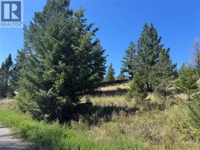 The mountains are calling you home! This gently sloped, sparsely-treed lot on Columbia Estates Road...