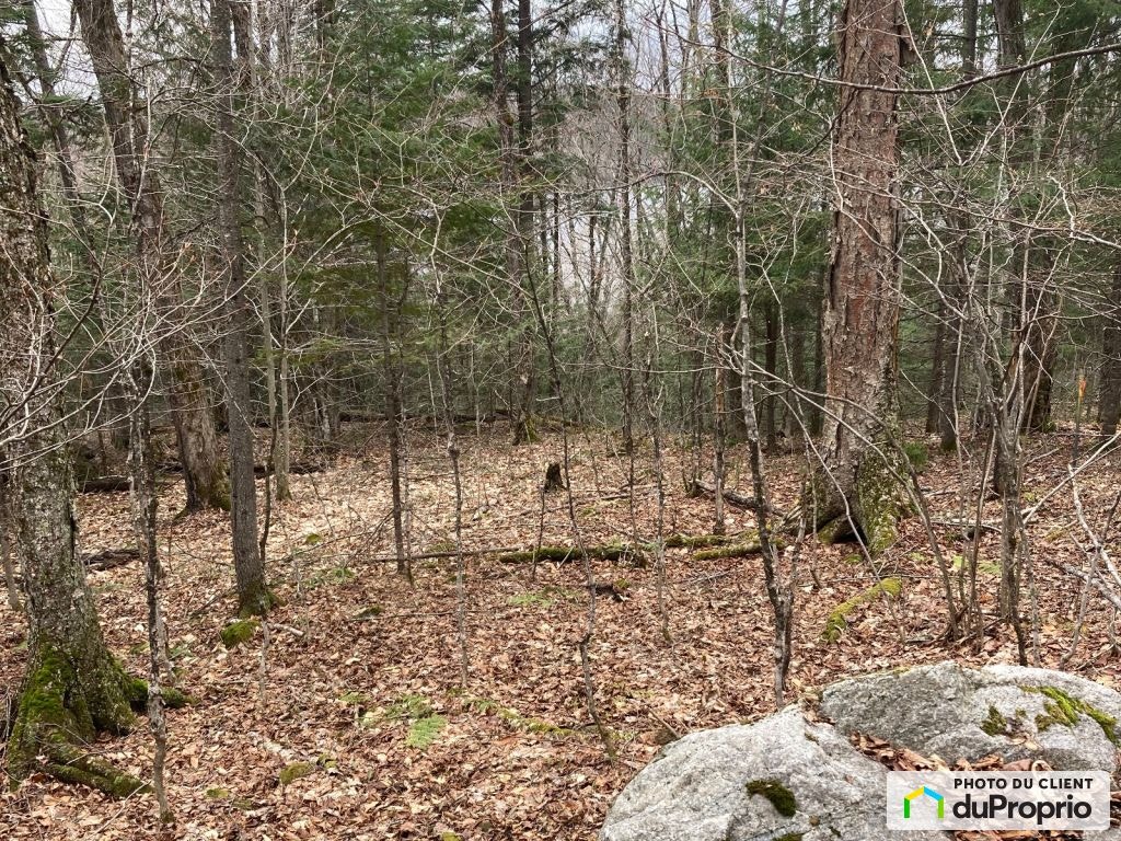 $265,000 - Residential Lot for sale in La Minerve — photo 2