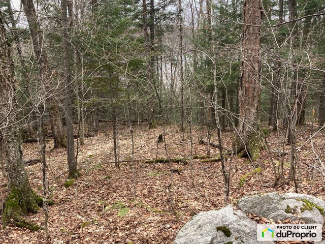 $265,000 - Residential Lot for sale in La Minerve — photo 2