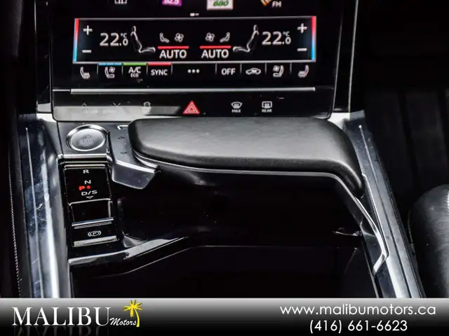 2019 Audi e-tron Technik5570167698895872022