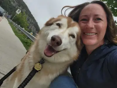 Insured, experienced Dog Walker & Pet Sitter available!, View more