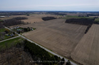 Cockshutt Rd. Cash Crop in Norfolk