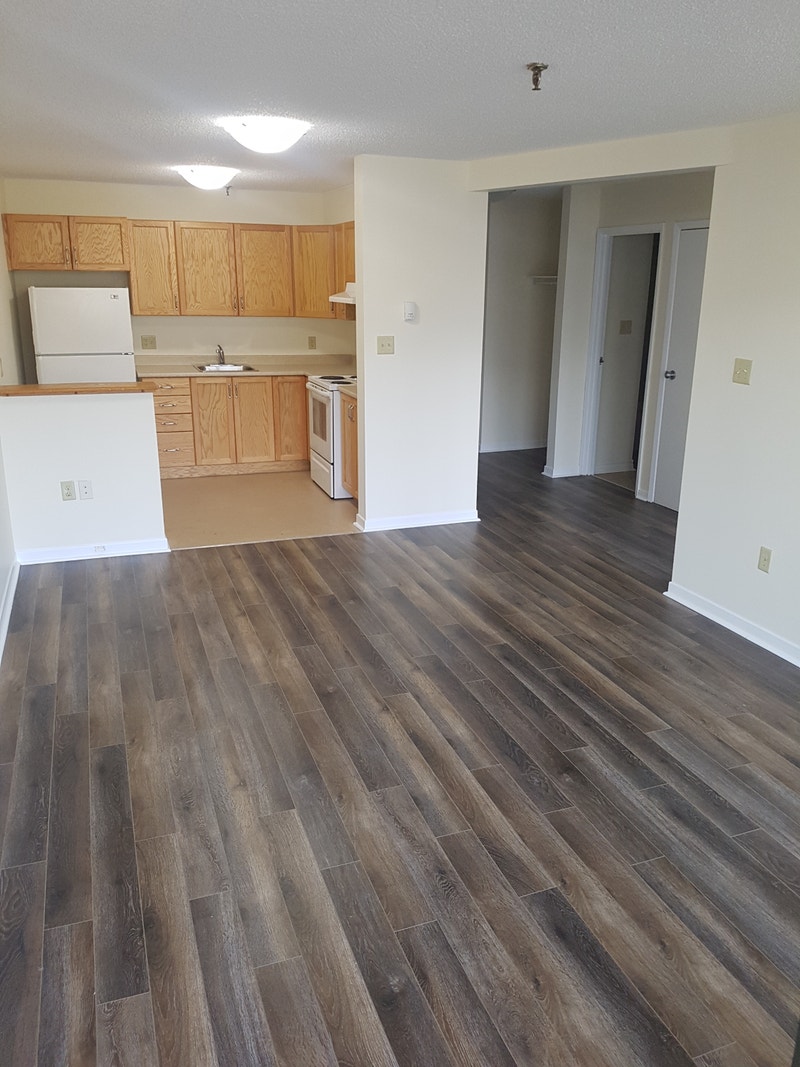 Fantastic Bachelor Apartment North End Halifax Long Term Rentals