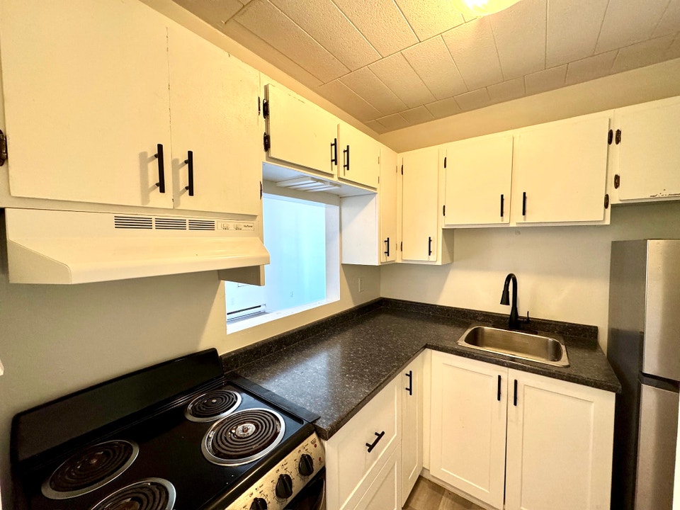 Freshly Renovated 1 bedroom 1 bath apartment in the heart of Poi 4